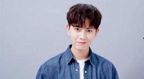 娱乐吃瓜蜀黍任嘉伦,娱乐吃瓜蜀黍的星光璀璨之路