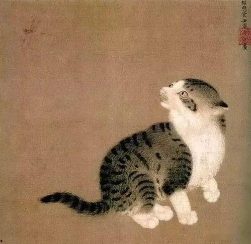 娱乐吃瓜猫捉鸟小说,娱乐吃瓜界的甜蜜陷阱