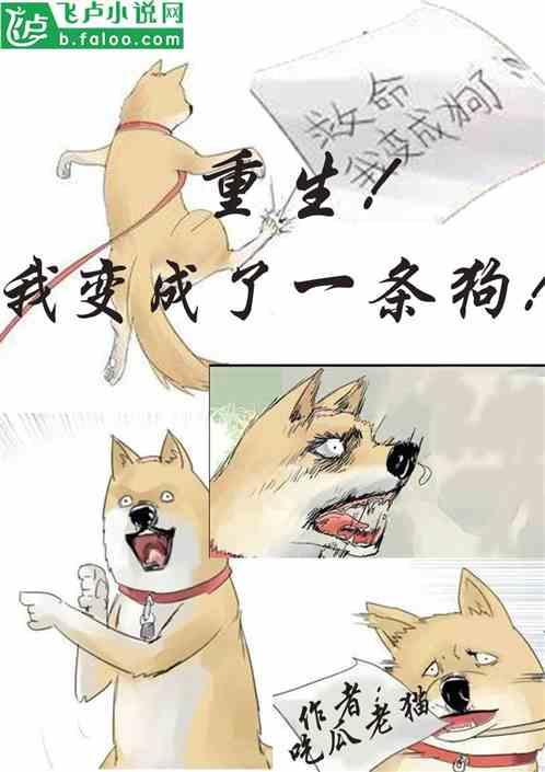 娱乐圈吃瓜小狗小说在线阅读,吃瓜小狗的甜蜜复仇之旅