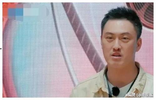 吃瓜娱乐圈最新语录,笑料百出，明星们金句频出